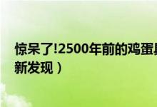 惊呆了!2500年前的鸡蛋具体是什么情况（专家在溧阳古墓新发现）