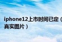 iphone12上市时间已定（苹果12预售价格多少 苹果12手机真实图片）