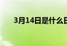 3月14日是什么日子（哪位伟人逝世）