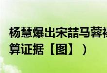 杨慧爆出宋喆马蓉裸照（在家装监控属偷拍不算证据【图】）