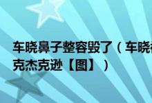 车晓鼻子整容毁了（车晓被曝整容过度鼻子外翻太明显像迈克杰克逊【图】）