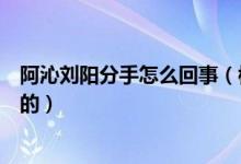 阿沁刘阳分手怎么回事（模范情侣阿沁刘阳个人资料怎么火的）