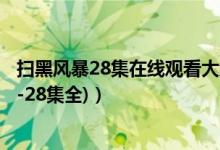 扫黑风暴28集在线观看大结局（扫黑风暴在线观看完整版(1-28集全)）