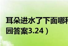 耳朵进水了下面哪种处理方式比较好（蚂蚁庄园答案3.24）