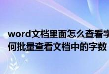 word文档里面怎么查看字数（在WORD中怎么查看字数,如何批量查看文档中的字数）