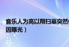 音乐人为高以翔扫墓突然倒地猝死什么情况（吕晓栋死亡原因曝光）