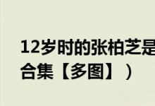 12岁时的张柏芝是什么样子的（张柏芝靓照合集【多图】）