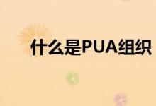 什么是PUA组织（pua男是什么意思）