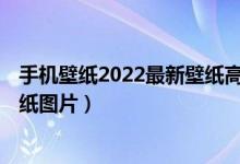 手机壁纸2022最新壁纸高清（手机壁纸最火的图片 2022壁纸图片）