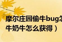 摩尔庄园偷牛bug怎么回事（摩尔庄园手游母牛奶牛怎么获得）