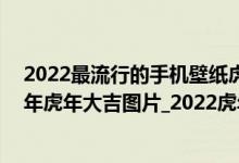 2022最流行的手机壁纸虎年（2022年虎年大吉壁纸_2022年虎年大吉图片_2022虎年手机壁纸）