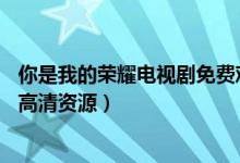 你是我的荣耀电视剧免费观看全集（你是我的荣耀27集网剧高清资源）