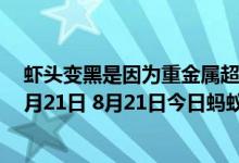 虾头变黑是因为重金属超标吗（蚂蚁庄园今日答案早知道8月21日 8月21日今日蚂蚁庄园答案最新）