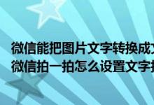 微信能把图片文字转换成文字吗（微信拍一拍怎么设置文字,微信拍一拍怎么设置文字拍别人）