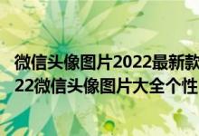 微信头像图片2022最新款个性（2022微信头像图片大全,2022微信头像图片大全个性）