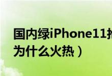 国内绿iPhone11抢断货（iPhone11午夜绿为什么火热）