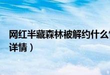 网红半藏森林被解约什么情况（半藏森林刘阳出轨事件始末详情）