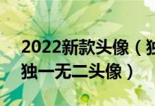 2022新款头像（独特好看的头像图片 2022独一无二头像）