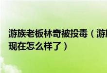 游族老板林奇被投毒（游族CEO林奇为什么被投毒游族CEO现在怎么样了）