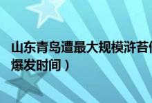 山东青岛遭最大规模浒苔侵袭（青岛浒苔爆发原因 青岛浒苔爆发时间）