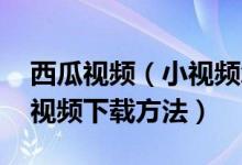 西瓜视频（小视频怎么下载 西瓜视频中的短视频下载方法）