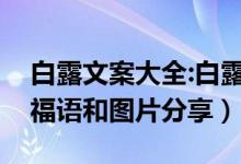 白露文案大全:白露朋友圈文案说说（白露祝福语和图片分享）