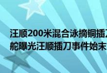 汪顺200米混合泳摘铜插刀教事件遭曝光（插刀教游泳队分舵曝光汪顺插刀事件始末合集）