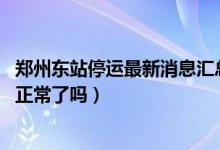 郑州东站停运最新消息汇总（郑州东站停多久 郑州东站恢复正常了吗）