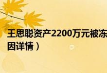 王思聪资产2200万元被冻结怎么回事（王思聪资产被冻结原因详情）