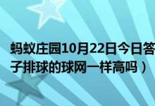 蚂蚁庄园10月22日今日答案大全（排球比赛中男子排球和女子排球的球网一样高吗）