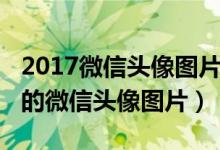 2017微信头像图片大全（2018最好看最个性的微信头像图片）