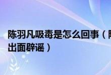 陈羽凡吸毒是怎么回事（陈羽凡吸毒被抓是真的吗 本人微博出面辟谣）