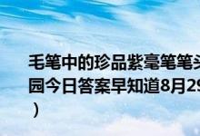 毛笔中的珍品紫毫笔笔头的制作原料出自哪种动物（蚂蚁庄园今日答案早知道8月29日 8月29日今日蚂蚁庄园答案最新）