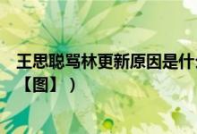 王思聪骂林更新原因是什么（揭秘王思聪和林更新什么关系【图】）