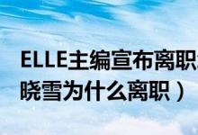 ELLE主编宣布离职怎么回事（ELLE主编是谁 晓雪为什么离职）