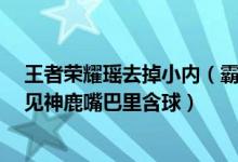 王者荣耀瑶去掉小内（霸气 瑶遇见神鹿卧床动漫图片 瑶遇见神鹿嘴巴里含球）