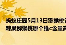 蚂蚁庄园5月13日猕猴桃答案最新（蚂蚁庄园3.12答案：沙棘果猕猴桃哪个维c含量高）