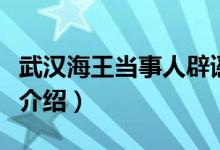 武汉海王当事人辟谣（武汉海王事件真相始末介绍）