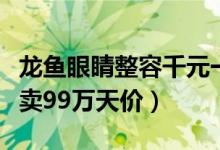 龙鱼眼睛整容千元一次什么情况（精品龙鱼可卖99万天价）