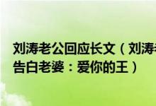 刘涛老公回应长文（刘涛老公发长文回应网传投资亏损深情告白老婆：爱你的王）