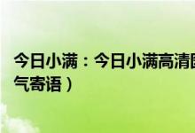 今日小满：今日小满高清图片（赞美小满时节的句子 小满节气寄语）