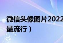 微信头像图片2022最新款女（全网最火头像 最流行）