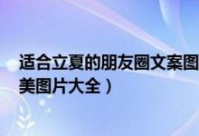 适合立夏的朋友圈文案图片（2022年立夏图片 立夏照片唯美图片大全）