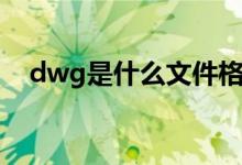 dwg是什么文件格式（dwg是什么文件）