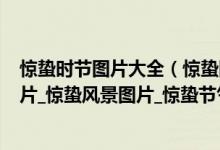 惊蛰时节图片大全（惊蛰图片大全最新_2022年惊蛰节气图片_惊蛰风景图片_惊蛰节气的图片）