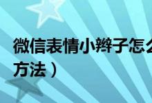 微信表情小辫子怎么弄（微信表情小辫子设置方法）