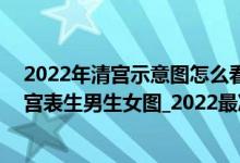 2022年清宫示意图怎么看（2022年怀孕清宫表_2022年清宫表生男生女图_2022最准清宫图）