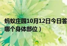 蚂蚁庄园10月12日今日答案大全（蝴蝶辨别食物味道用的是哪个身体部位）