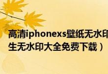 高清iphonexs壁纸无水印（iphonexs最新壁纸高清官方原生无水印大全免费下载）