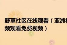 野草社区在线观看（亚洲视频视频在线观看 野草社区小草视频观看免费视频）